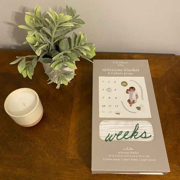 C.R Gibbons milestone blanket &6 photo props 40x40 - Picture 8 of 10